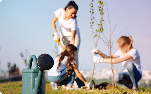 Menschen pflanzen einen Baum