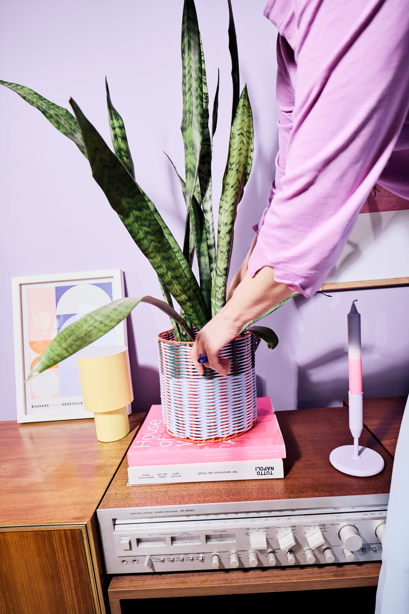 Sobna rastlina se preseli - trajnost in zeleno življenje z BKS. Sobna rastlina se preseli - trajnost in zeleno življenje z BKS.