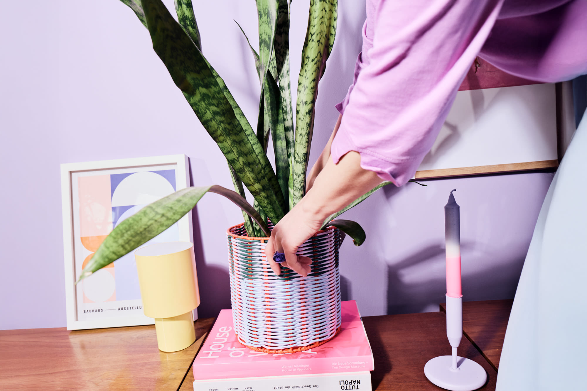 Sobna rastlina se preseli - trajnost in zeleno življenje z BKS. Sobna rastlina se preseli - trajnost in zeleno življenje z BKS.